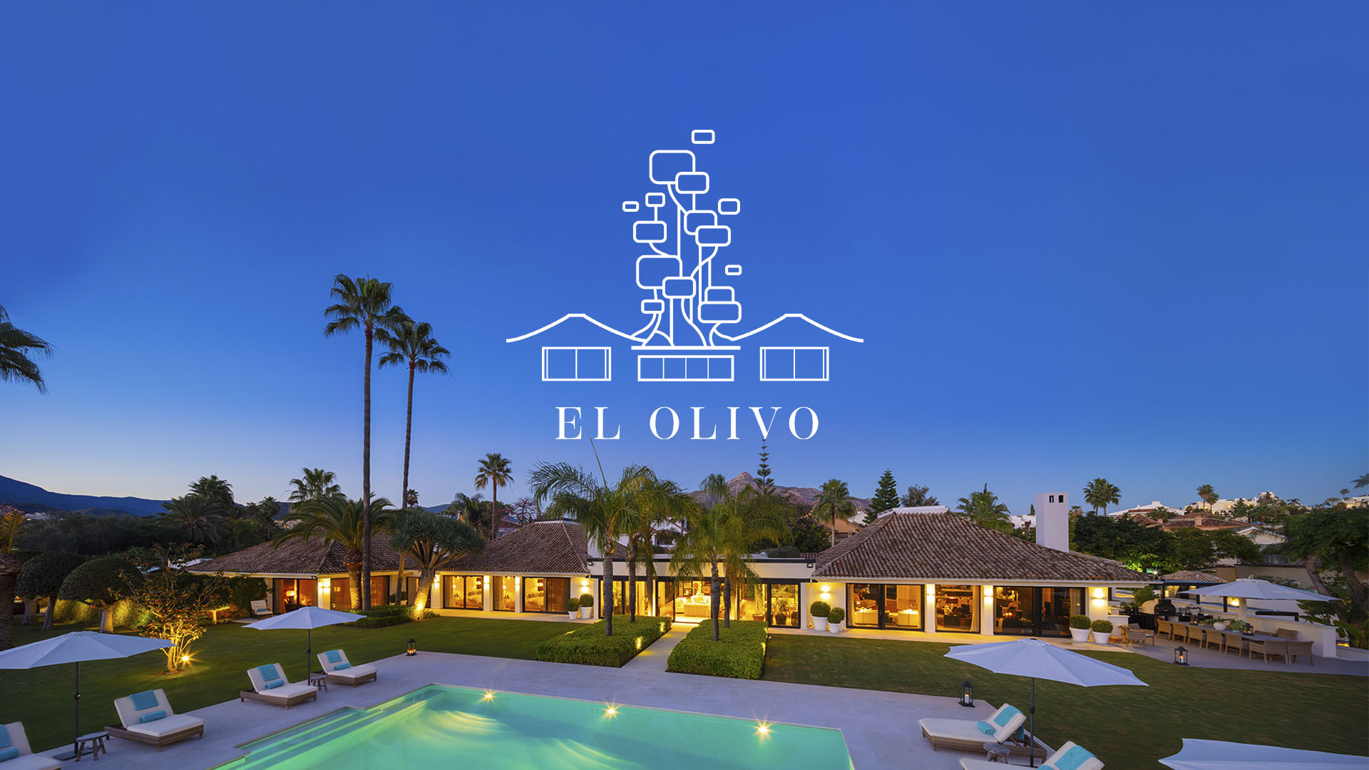 El Olivo-Seccion 1-portada CON LOGO-1920x1080